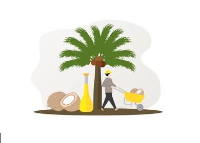 Certificación de sostenibilidad del aceite de palma de Indonesia