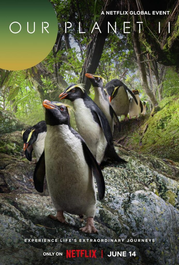 Miniserie documental: “Nuestro Planeta ll” de Netflix